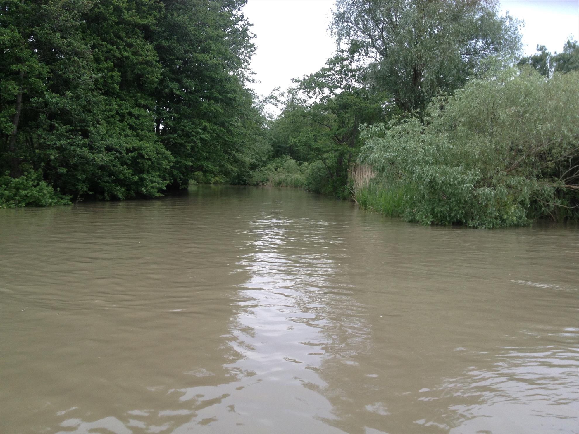 Delta Dunarii - img1121.JPG